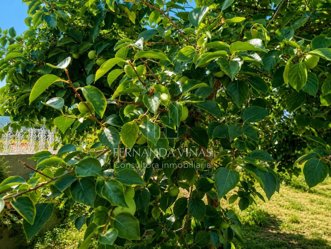 6 sovrum Villa till salu i Soutomaior - 450 000 € (Ref: 9996042)