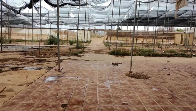 Terreno/Finca Rústica en Los Belones, Cartagena en alquiler - 2.700 € (Ref: 9308292)