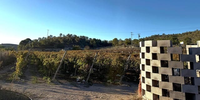 Grunde uden byggetilladelser til salg i Novelda - € 89.000 (Ref: 9438105)