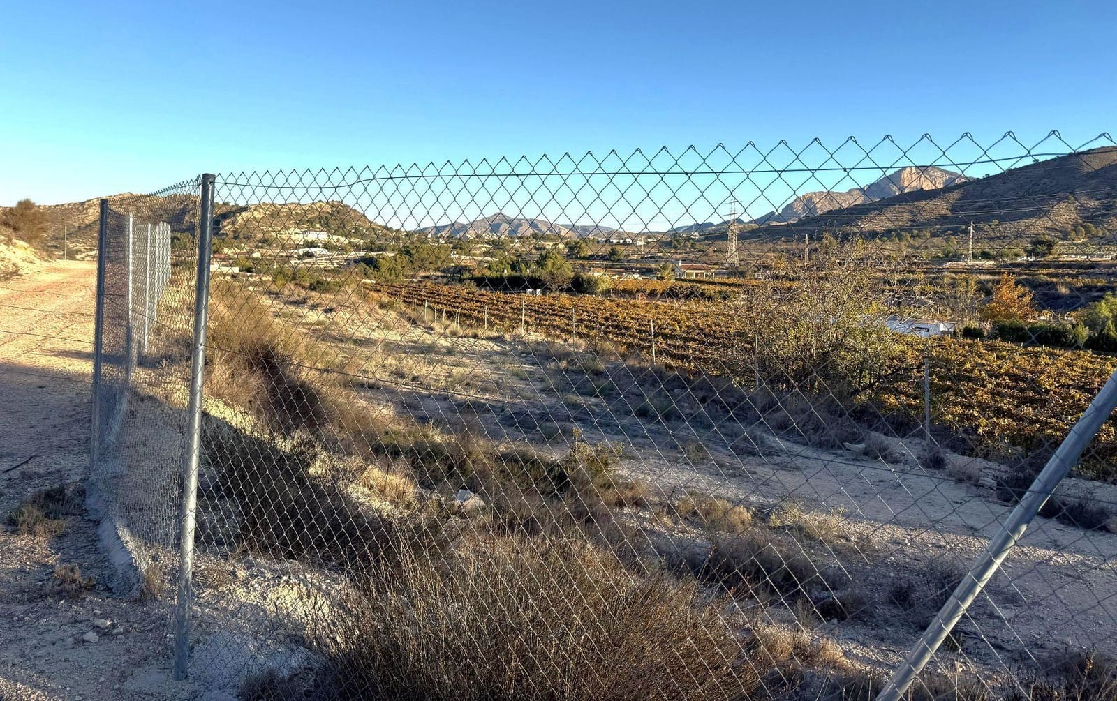 Rakentamaton maa myytävänä paikassa Novelda - 89 000 € (Ref: 9438105)