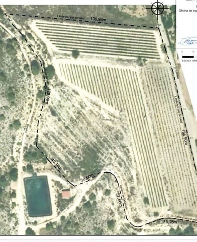 Terreno/Finca Rústica en Novelda en venta - 85.000 € (Ref: 9438105)