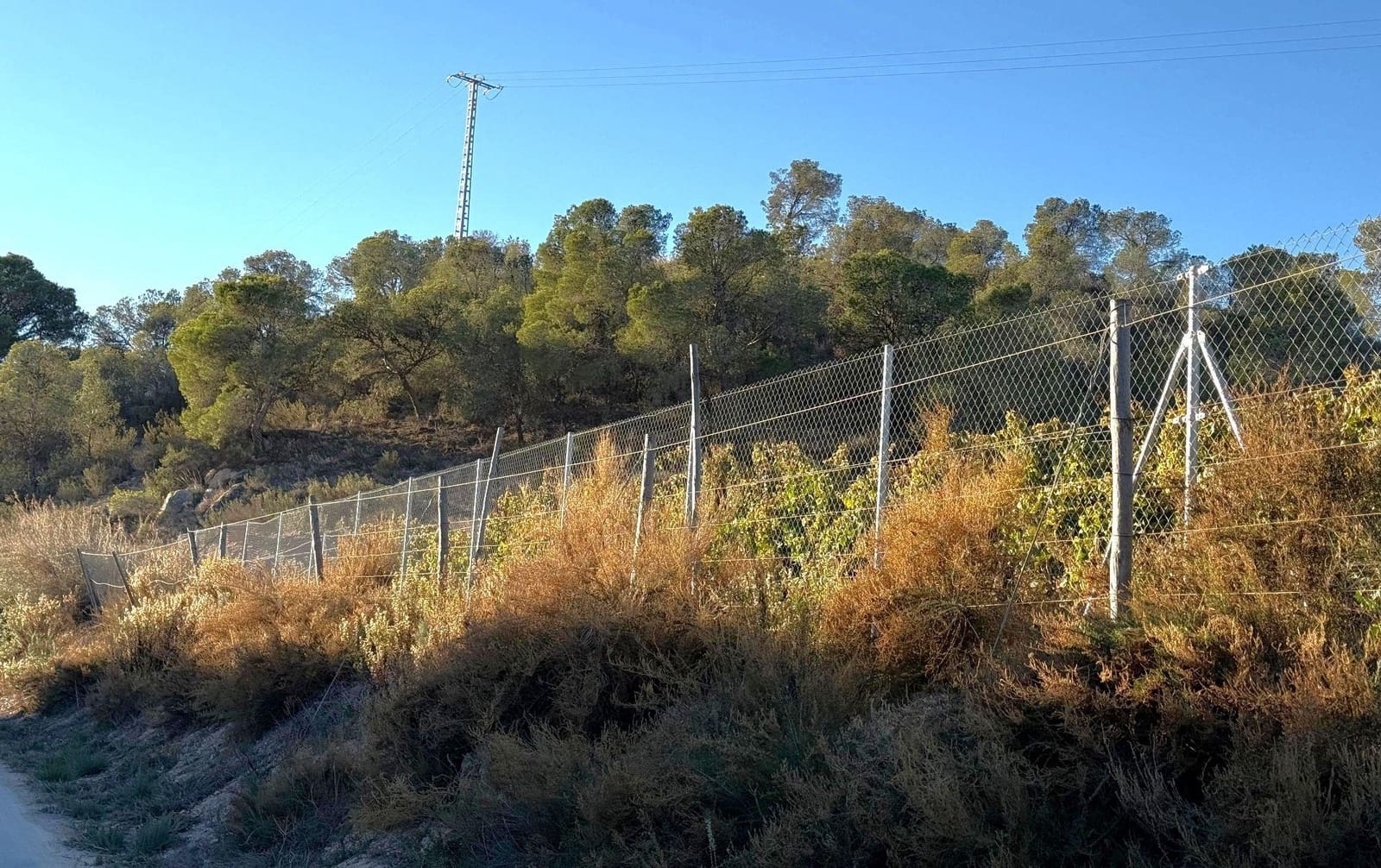 Undeveloped Land for sale in Novelda - € 79,500 (Ref: 9438105)