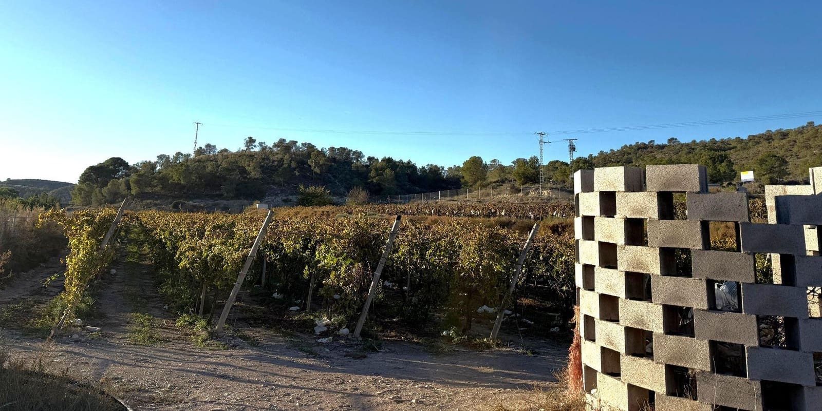 Undeveloped Land for sale in Novelda - € 79,500 (Ref: 9438105)