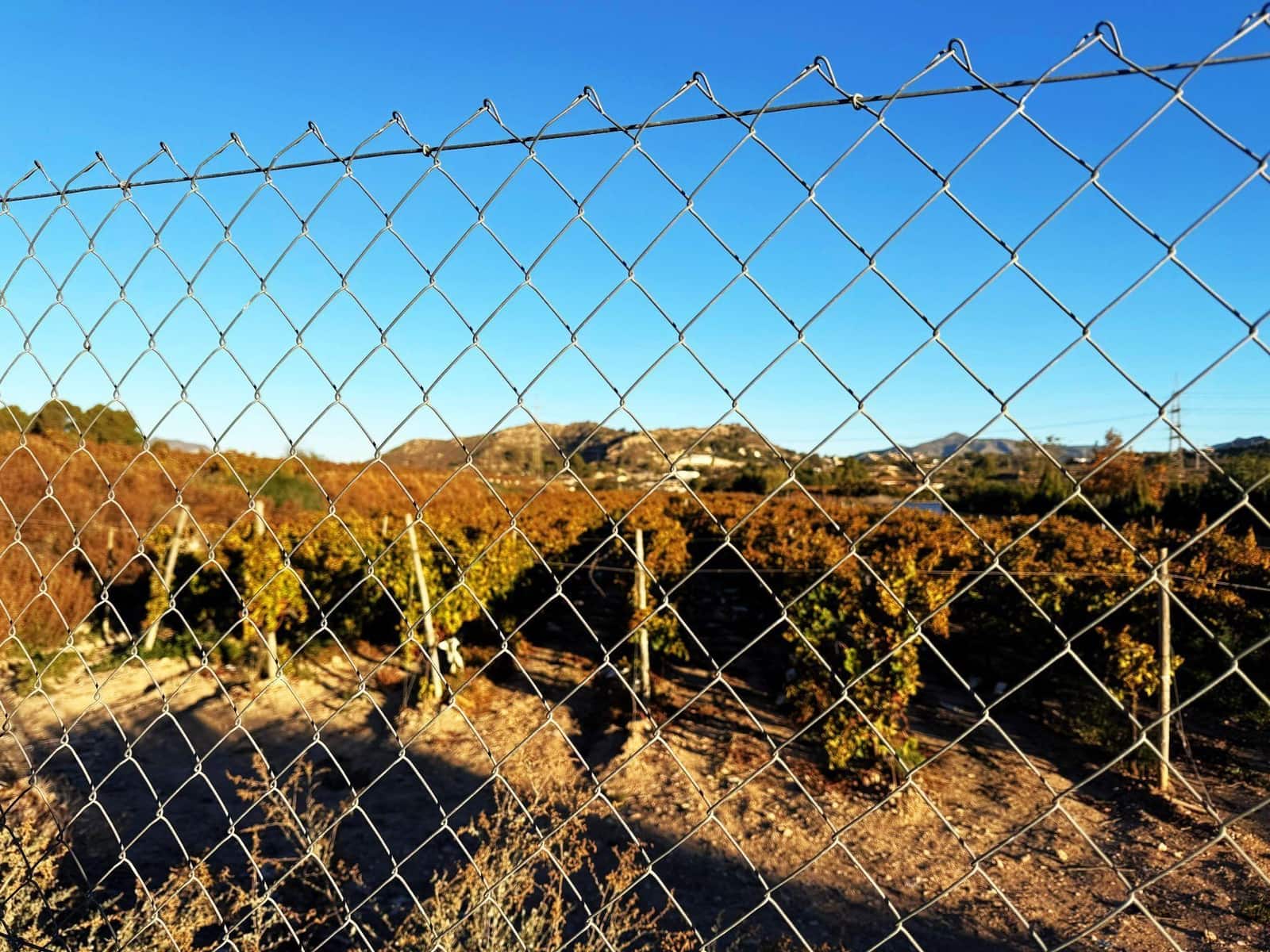 Undeveloped Land for sale in Novelda - € 79,500 (Ref: 9438105)