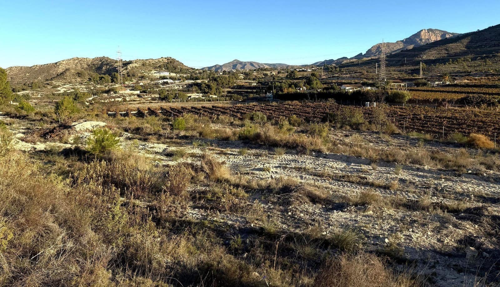 Undeveloped Land for sale in Novelda - € 79,500 (Ref: 9438105)
