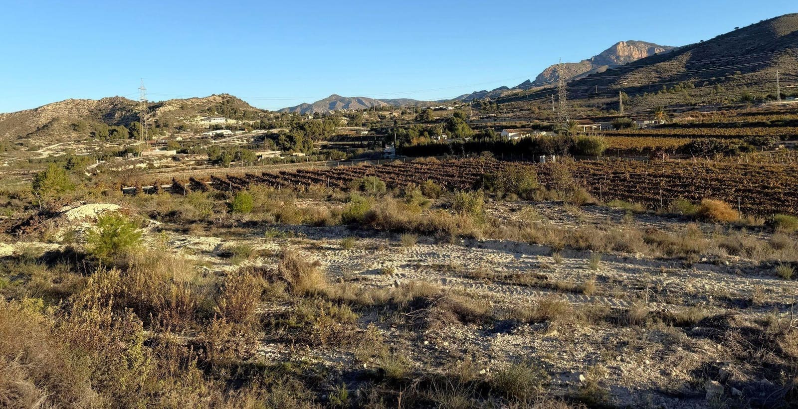 Undeveloped Land for sale in Novelda - € 79,500 (Ref: 9438105)