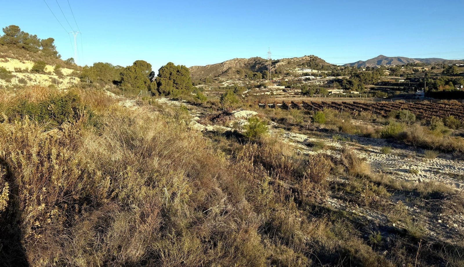Undeveloped Land for sale in Novelda - € 79,500 (Ref: 9438105)