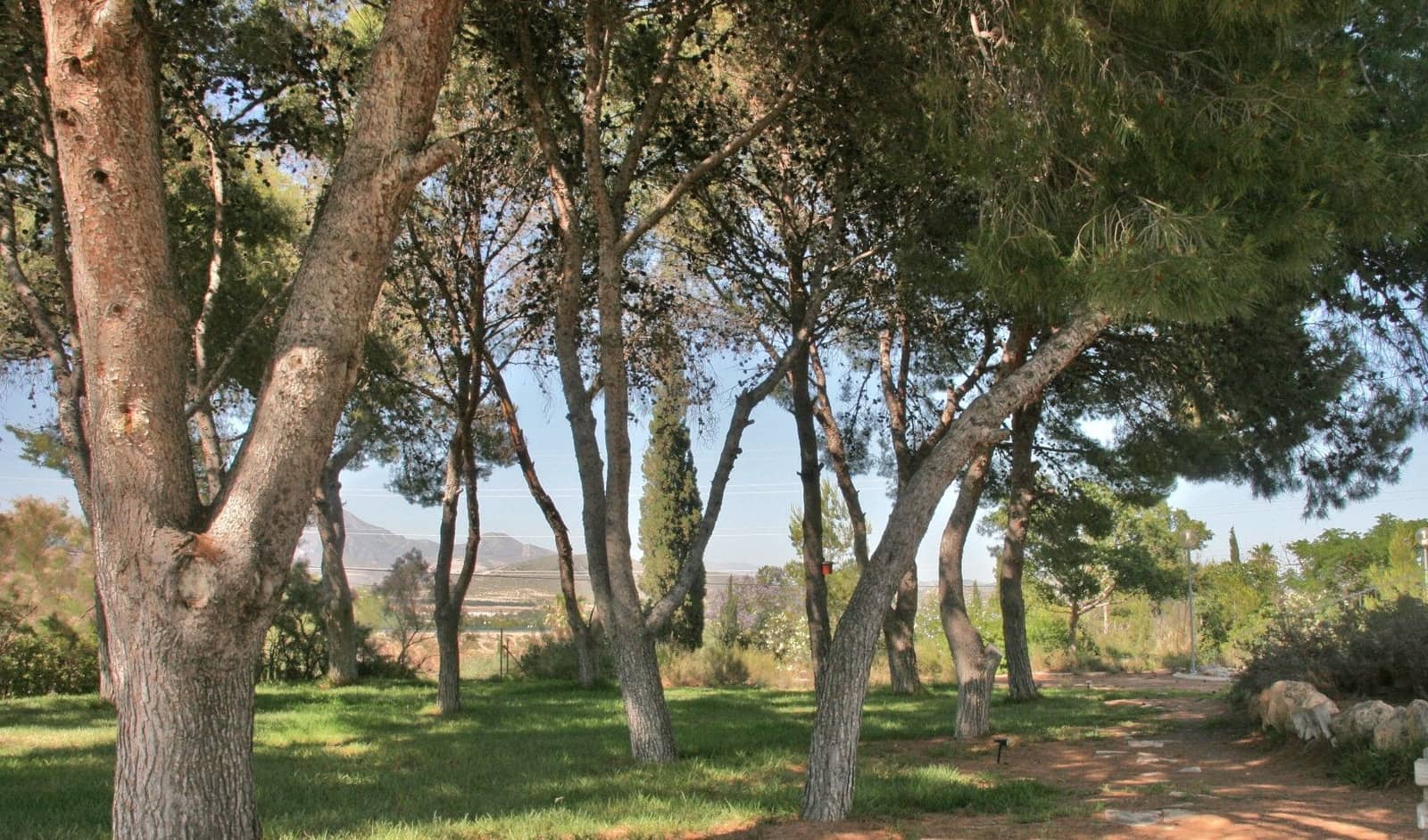 7 sypialnia Willa na sprzedaż w Muchamiel / Mutxamel z basenem garażem - 1 000 000 € (Ref: 9438111)