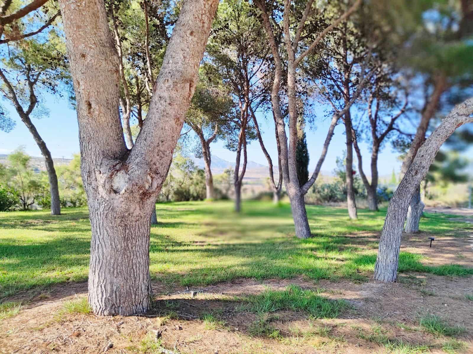 7 sypialnia Willa na sprzedaż w Muchamiel / Mutxamel z basenem garażem - 1 000 000 € (Ref: 9438111)