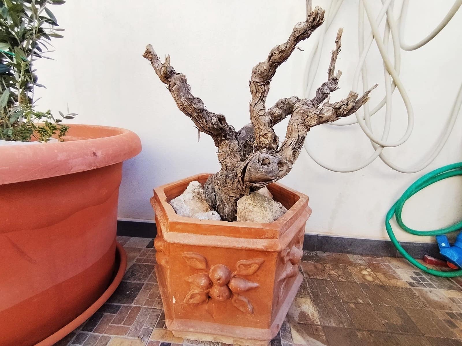 3 camera da letto Finca/Casa di Campagna da affittare in Pinoso con piscina - 850 € (Rif: 9438123)