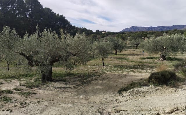 5 Zimmer Finca/Landgut zu verkaufen in Relleu mit Pool Garage - 300.000 € (Ref: 9586722)