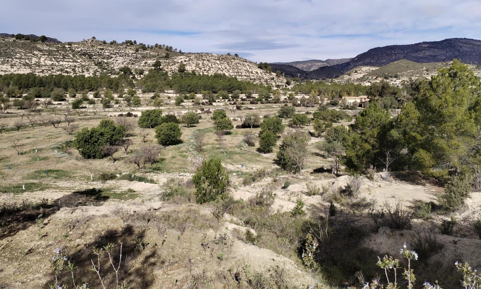 5 bedroom Finca/Country House for sale in Relleu with pool garage - € 300,000 (Ref: 9586722)