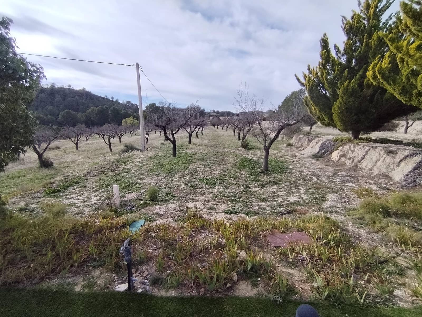 5 bedroom Finca/Country House for sale in Relleu with pool garage - € 300,000 (Ref: 9586722)