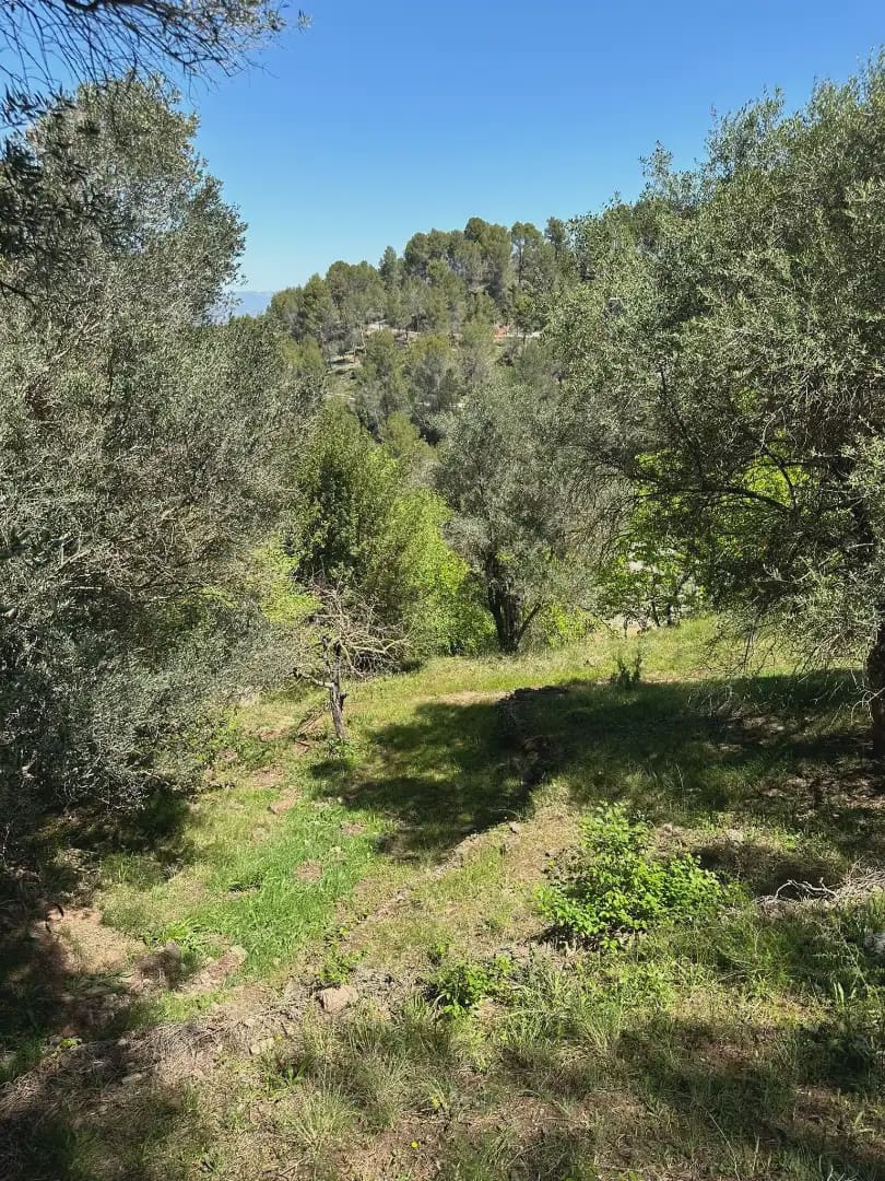 4 chambre Finca/Maison de Campagne à vendre à Castellvi de Rosanes avec piscine garage - 650 000 € (Ref: 10099548)