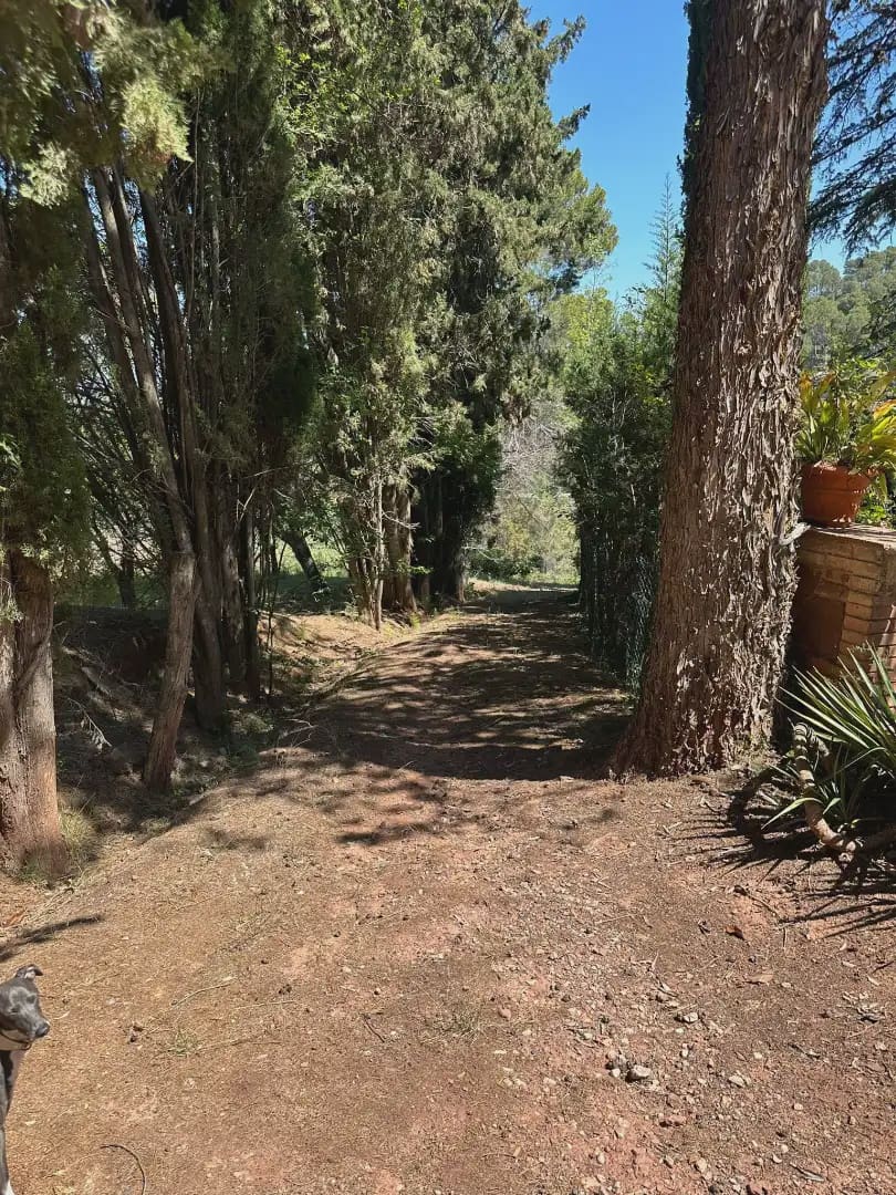 4 chambre Finca/Maison de Campagne à vendre à Castellvi de Rosanes avec piscine garage - 650 000 € (Ref: 10099548)