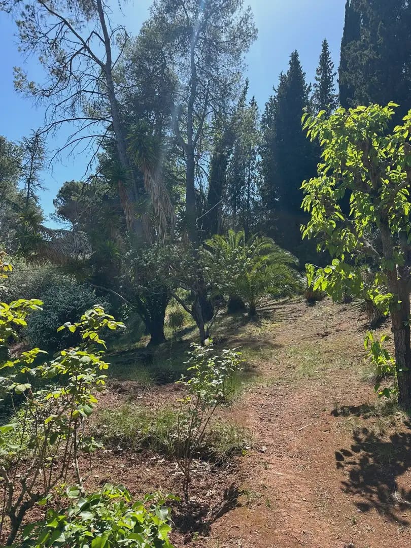 4 chambre Finca/Maison de Campagne à vendre à Castellvi de Rosanes avec piscine garage - 650 000 € (Ref: 10099548)