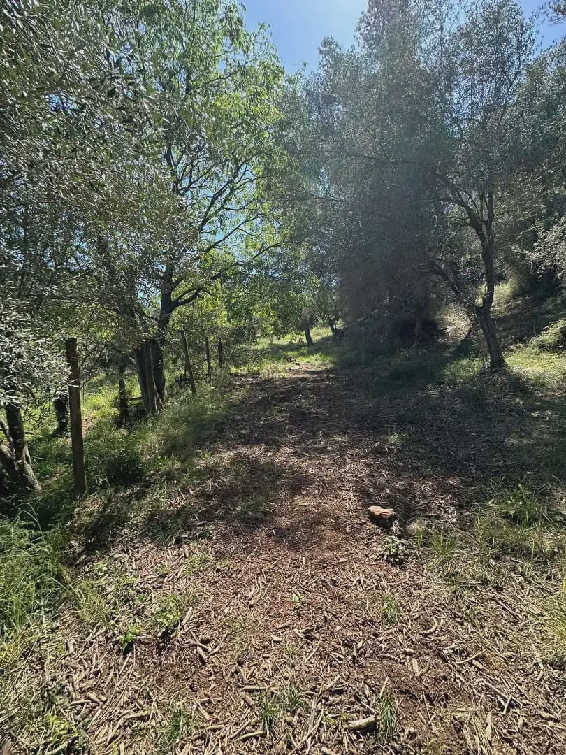 4 chambre Finca/Maison de Campagne à vendre à Castellvi de Rosanes avec piscine garage - 650 000 € (Ref: 10099548)
