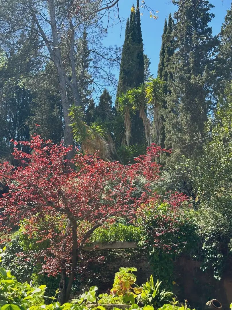 4 chambre Finca/Maison de Campagne à vendre à Castellvi de Rosanes avec piscine garage - 650 000 € (Ref: 10099548)