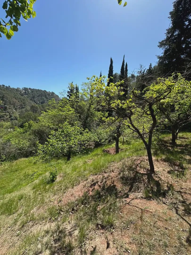 4 chambre Finca/Maison de Campagne à vendre à Castellvi de Rosanes avec piscine garage - 650 000 € (Ref: 10099548)