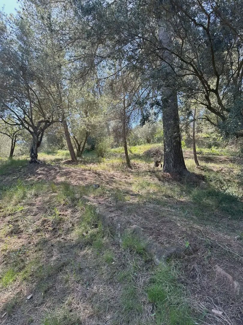 4 chambre Finca/Maison de Campagne à vendre à Castellvi de Rosanes avec piscine garage - 650 000 € (Ref: 10099548)