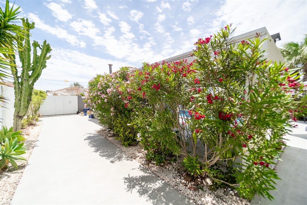 4 sypialnia Willa na sprzedaż w Torrevieja z basenem - 495 000 € (Ref: 9528136)