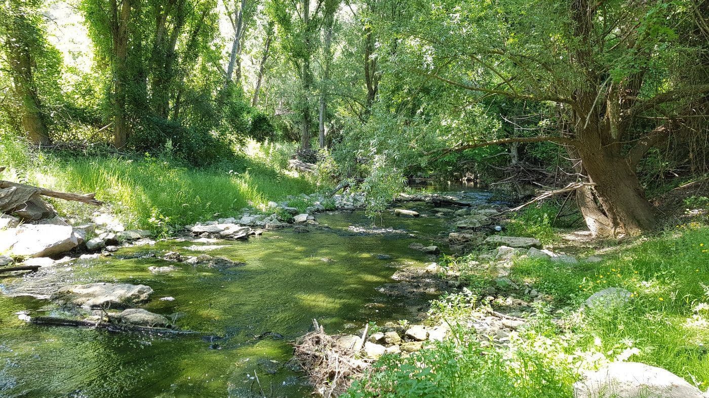 6 chambre Finca/Maison de Campagne à vendre à Sant Feliu Sasserra avec garage - 750 000 € (Ref: 9168641)