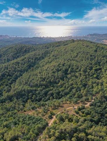 8 chambre Finca/Maison de Campagne à vendre à Calonge i Sant Antoni - 295 000 € (Ref: 9168643)