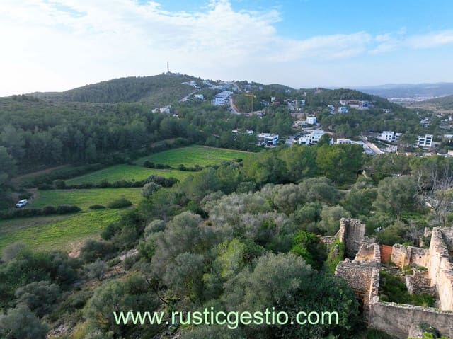 Finca/Herregård til salgs i Sant Pere de Ribes - € 699 000 (Ref: 9168651)