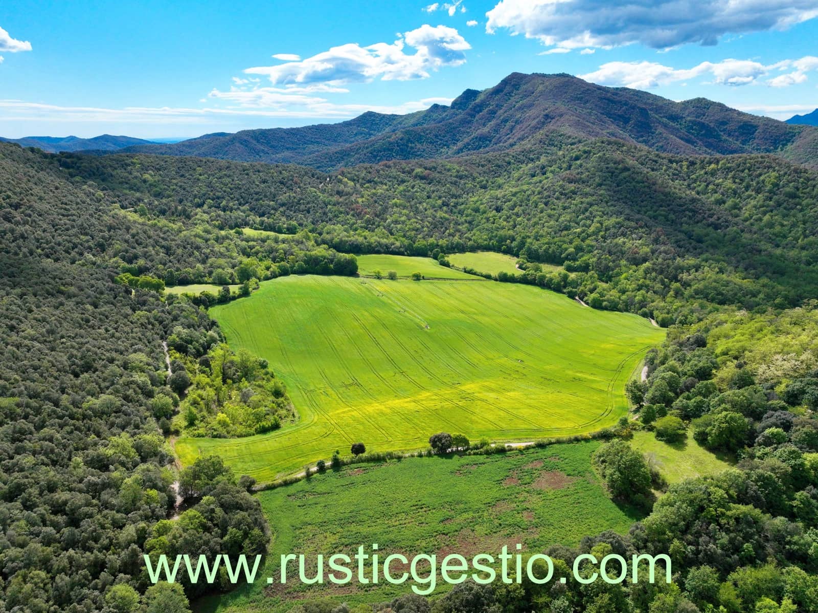 Finca/Casa di Campagna in vendita in Sant Joan les Fonts - 600.000 € (Rif: 9168666)