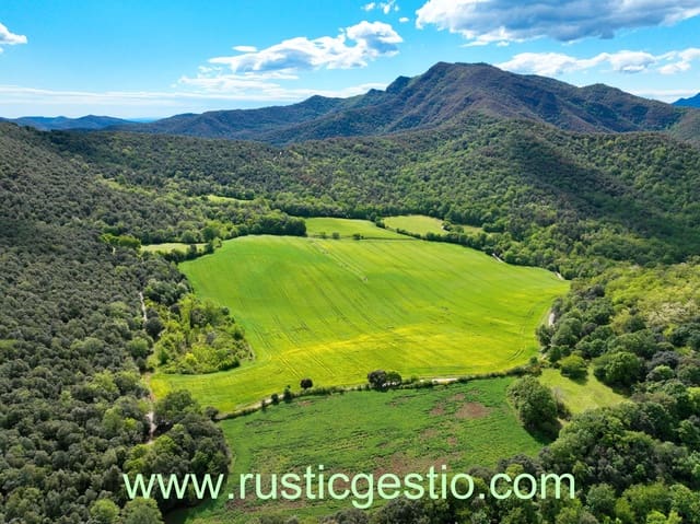 Finca/Maison de Campagne à vendre à Sant Joan les Fonts - 600 000 € (Ref: 9168666)