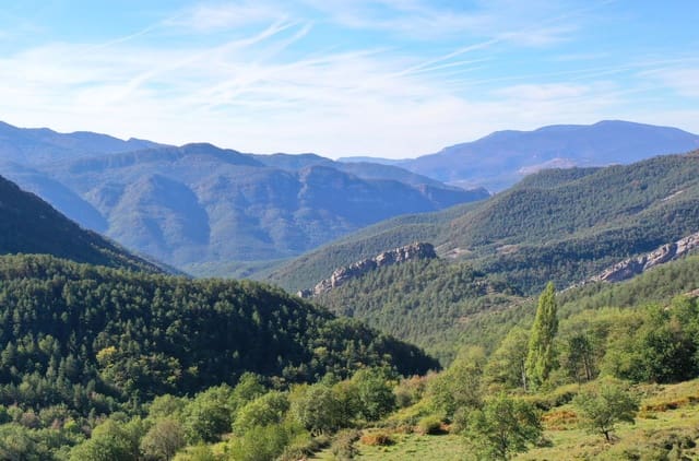 Ubebygd land til salgs i La Pobla de Lillet - € 60 000 (Ref: 9168669)