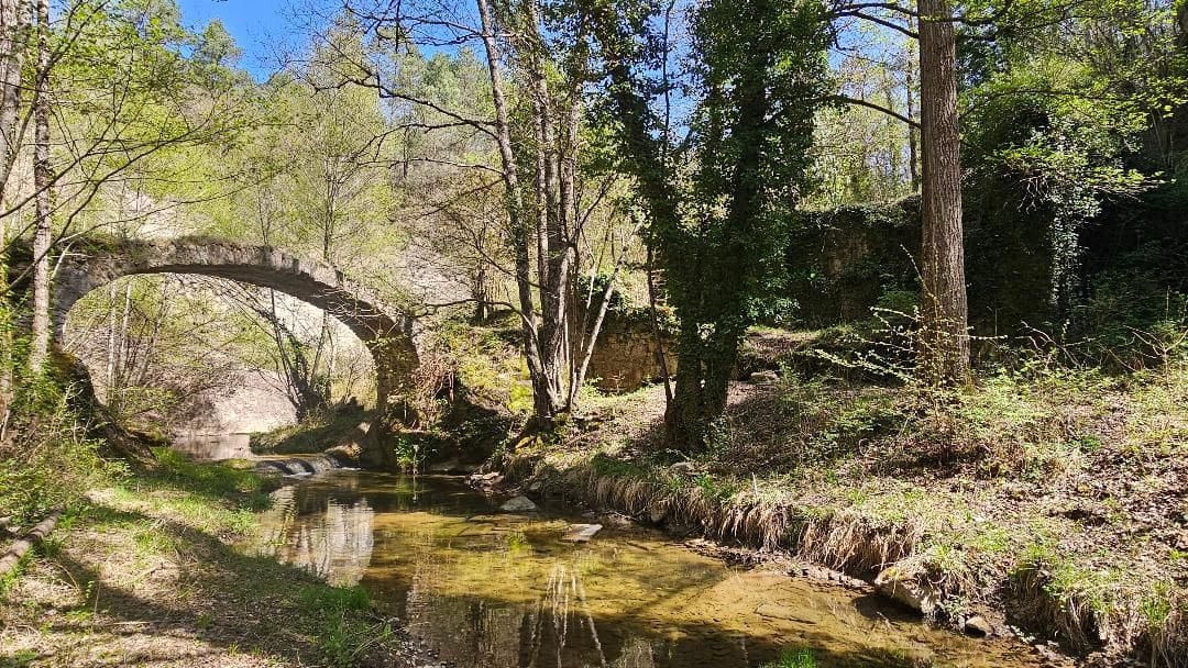 6 bedroom Finca/Country House for sale in Borreda - € 395,000 (Ref: 9168678)