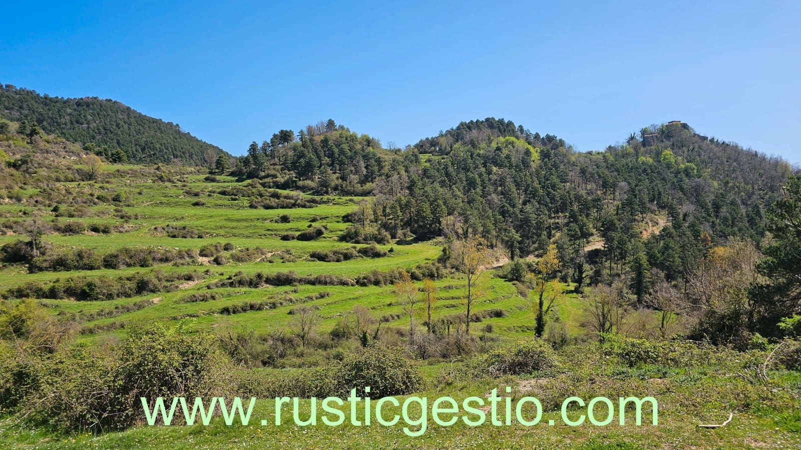 25 soveværelse Finca/Landehus til salg i Les Llosses - € 1.500.000 (Ref: 9168680)