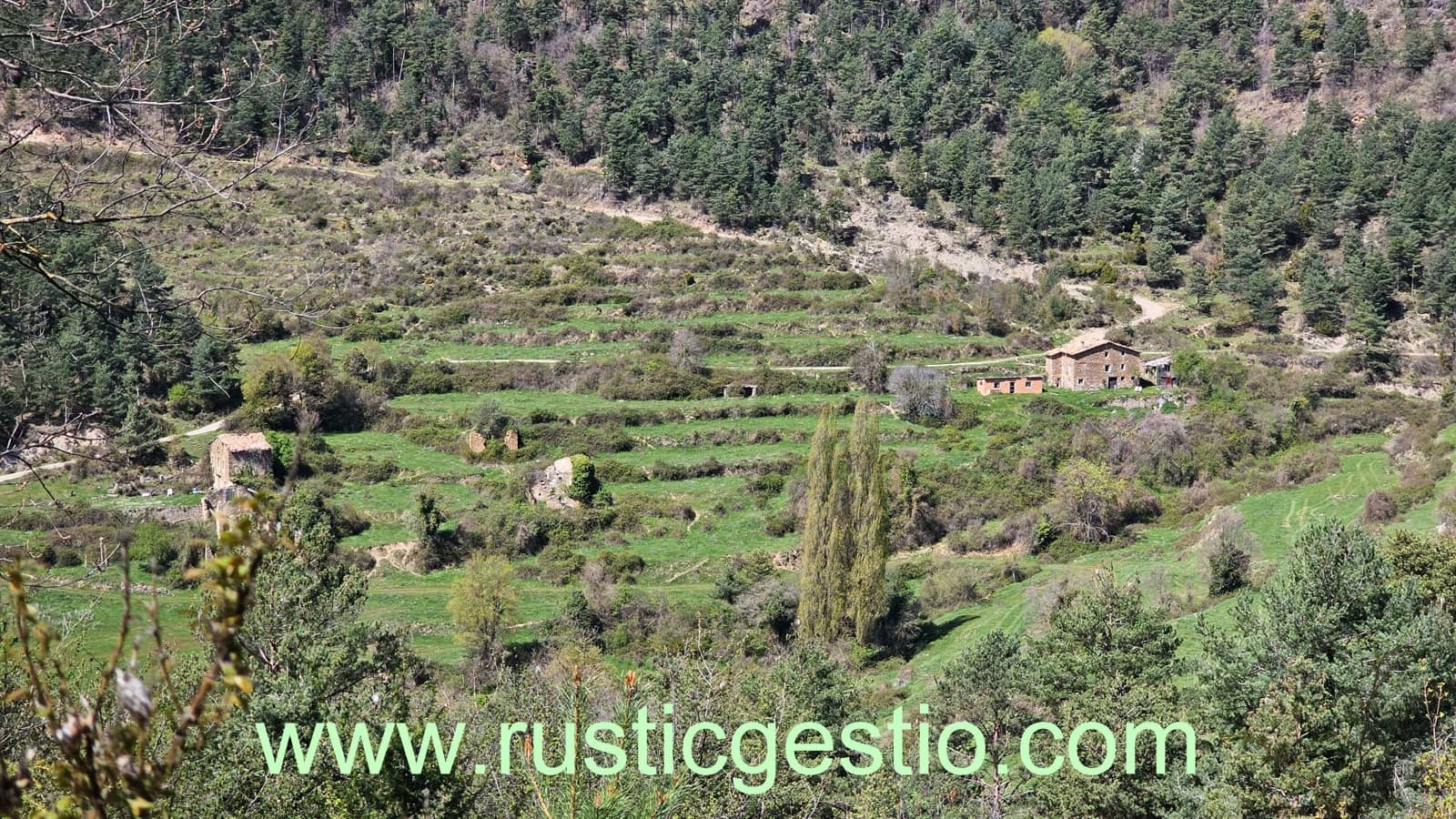 25 soveværelse Finca/Landehus til salg i Les Llosses - € 1.500.000 (Ref: 9168680)