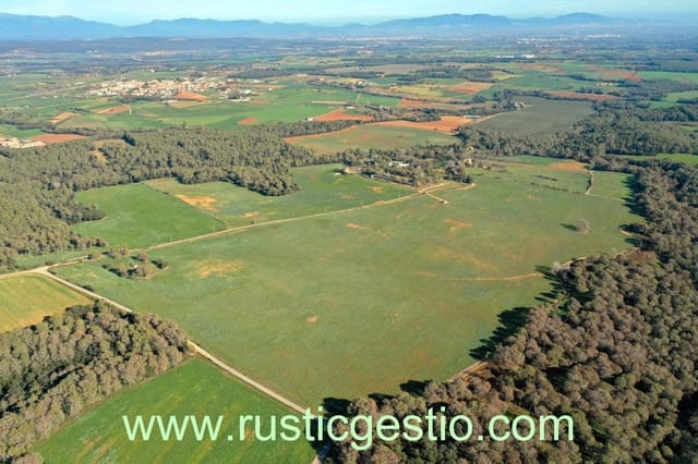 6 soverom Finca/Herregård til salgs i Navata - € 2 200 000 (Ref: 9168693)