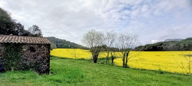 1 slaapkamer Finca/Landhuis te koop in Sant Martí de Llémena - € 250.000 (Ref: 9500270)