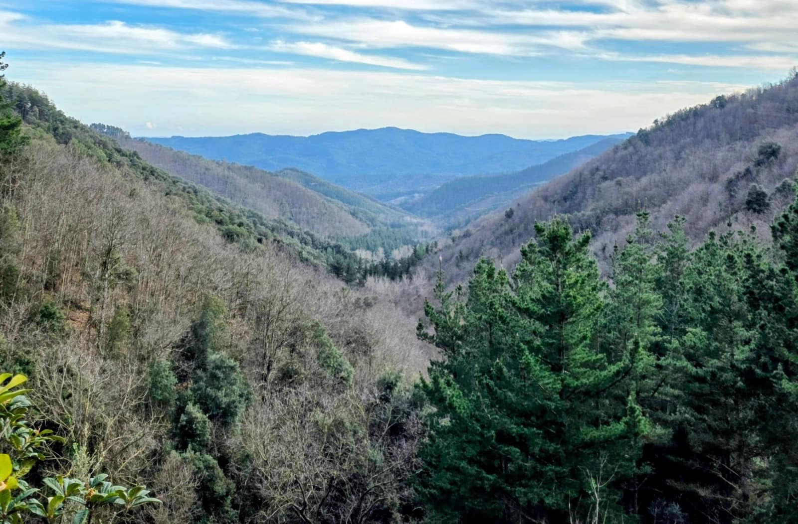 3 bedroom Finca/Country House for sale in Sant Hilari Sacalm - € 325,000 (Ref: 9550343)