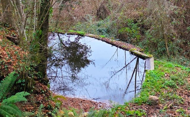 3 soveværelse Finca/Landehus til salg i Sant Hilari Sacalm - € 325.000 (Ref: 9550343)