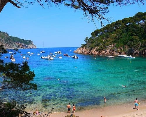 20 camera da letto Hotel in vendita in Girona citta - 7.250.000 € (Rif: 9649953)