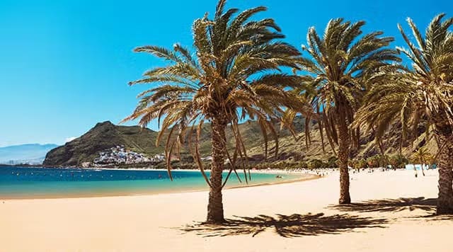 120 soverom Hotell til salgs i Puerto Santiago, Santiago del Teide med svømmebasseng - € 16 000 000 (Ref: 9869631)
