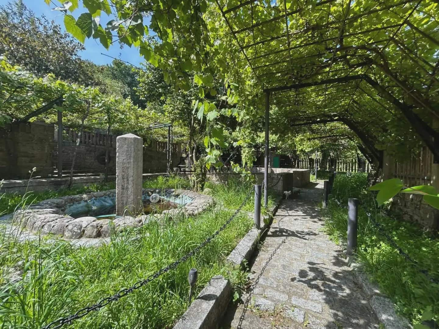 Gewerbe zu verkaufen in Cotobade - 800.000 € (Ref: 10021236)