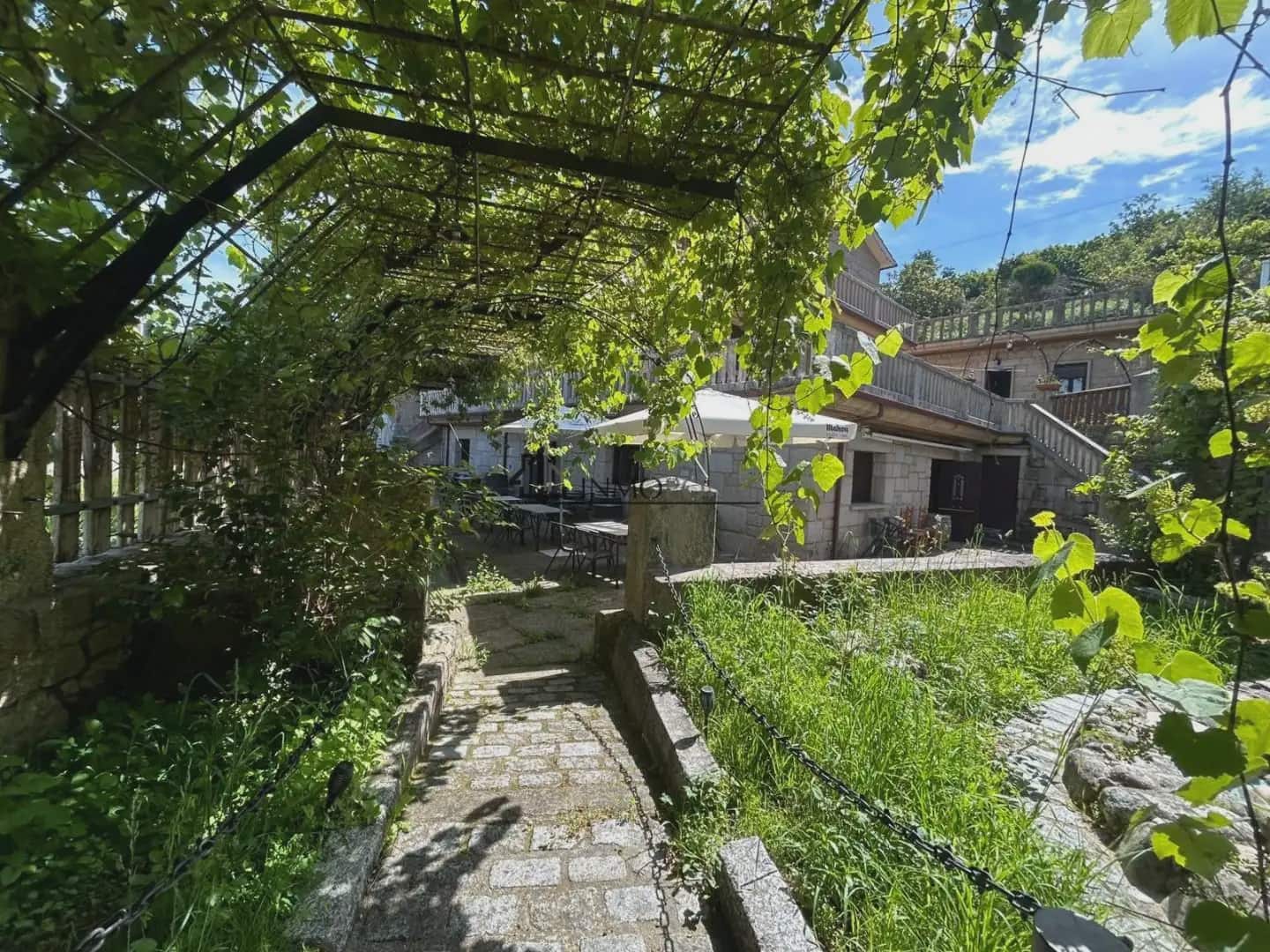 Gewerbe zu verkaufen in Cotobade - 800.000 € (Ref: 10021236)