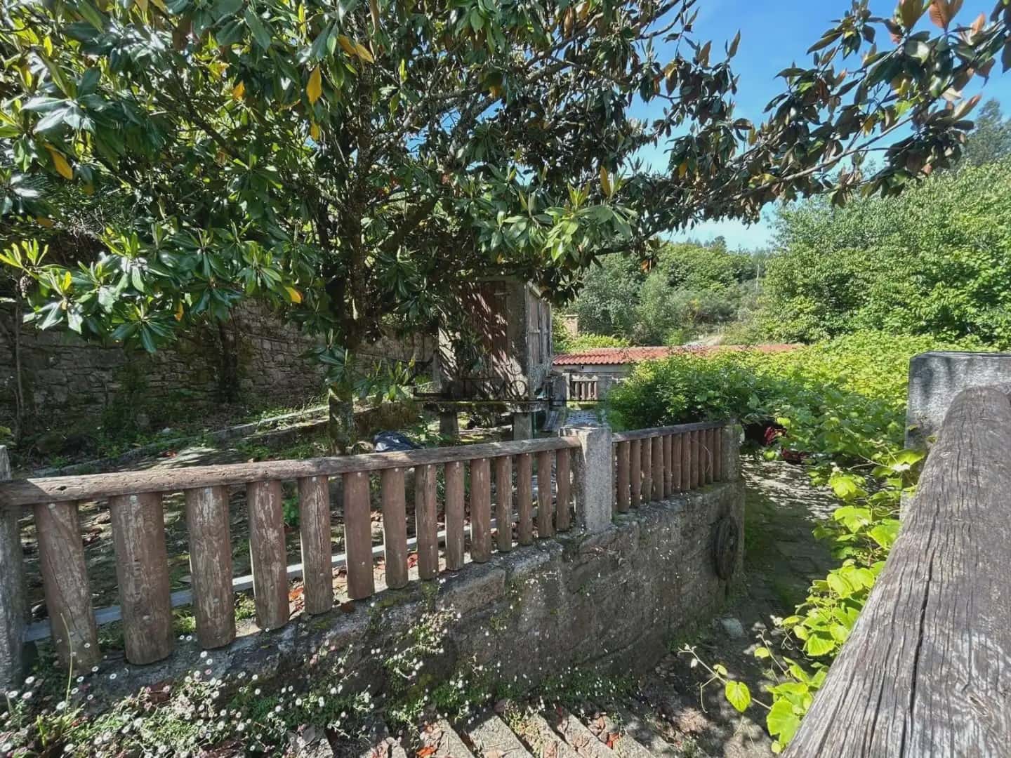 Gewerbe zu verkaufen in Cotobade - 800.000 € (Ref: 10021236)