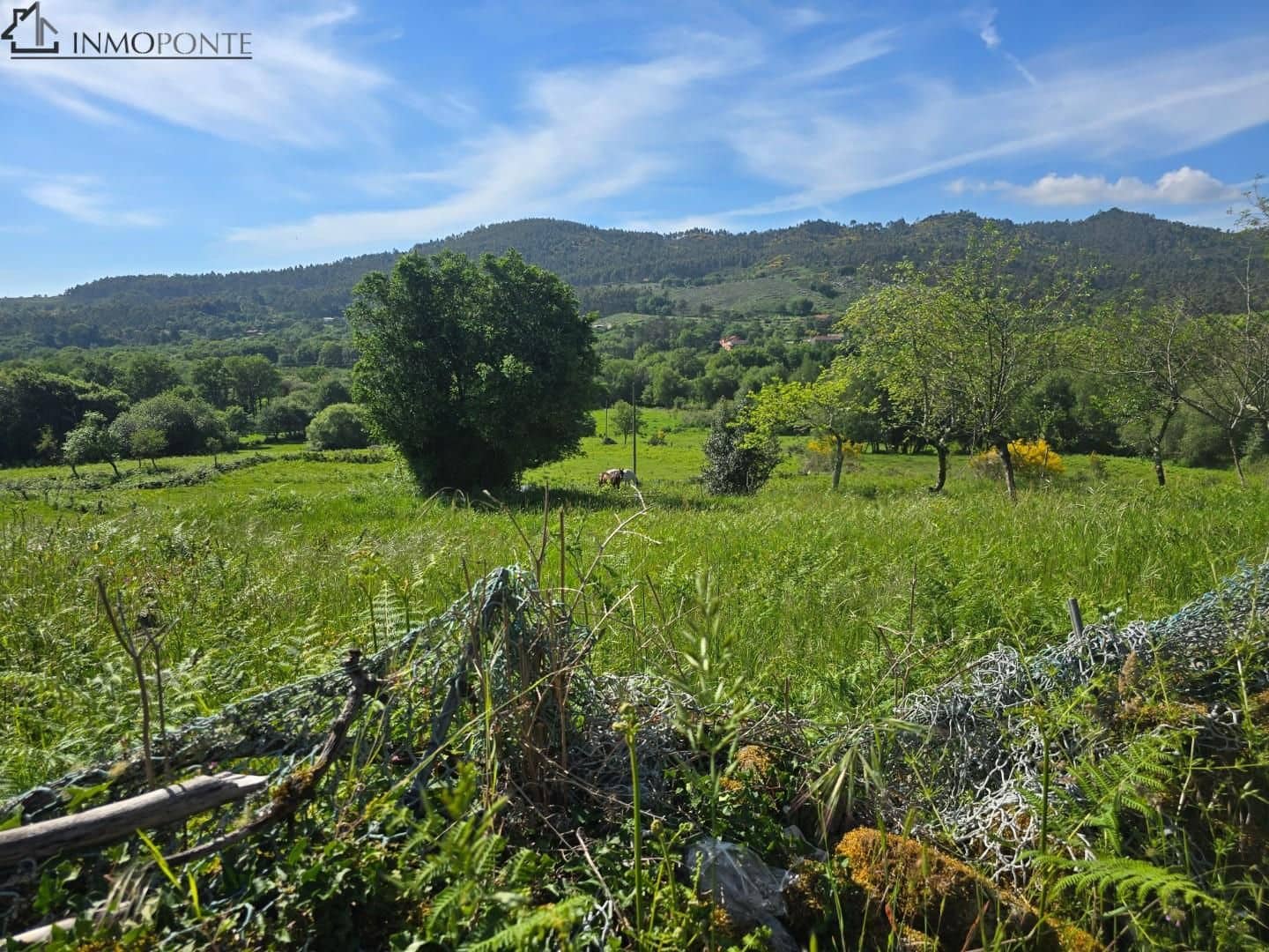 3 slaapkamer Finca/Landhuis te koop in Cotobade - € 150.000 (Ref: 9018513)