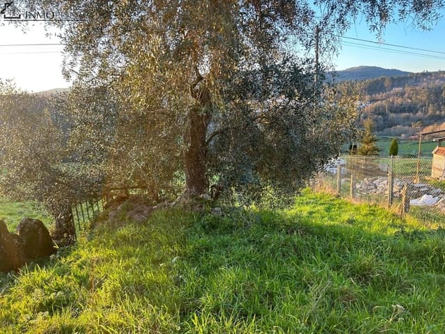 3 camera da letto Finca/Casa di Campagna in vendita in Cerdedo-Cotobade - 85.000 € (Rif: 9066391)