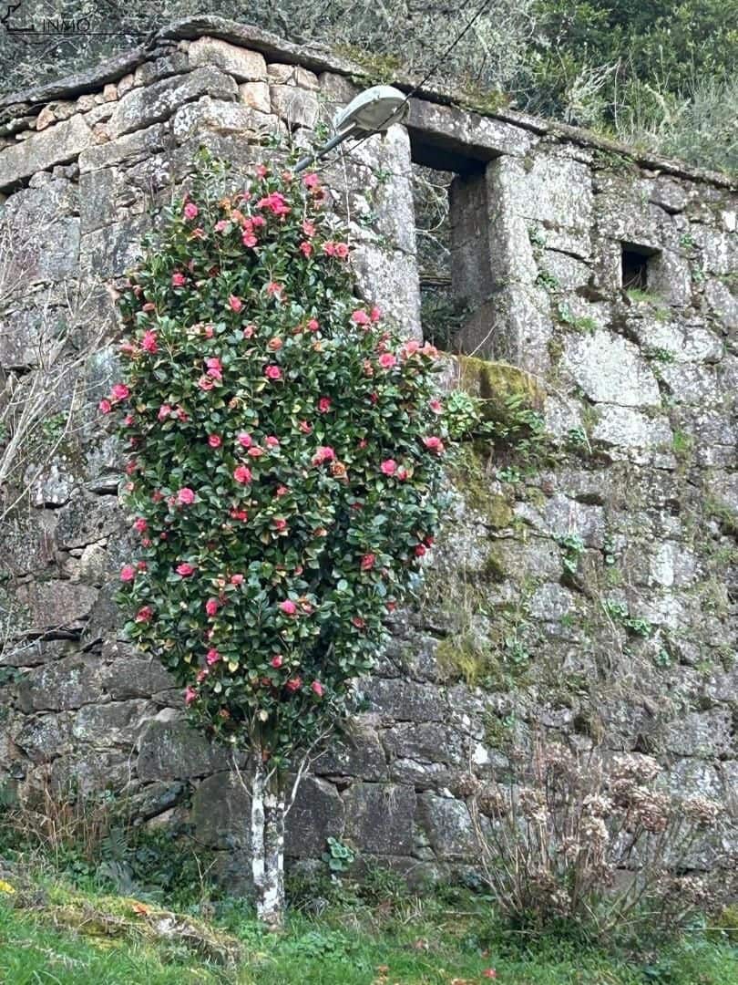 3 soveværelse Finca/Landehus til salg i Cerdedo-Cotobade - € 85.000 (Ref: 9066391)