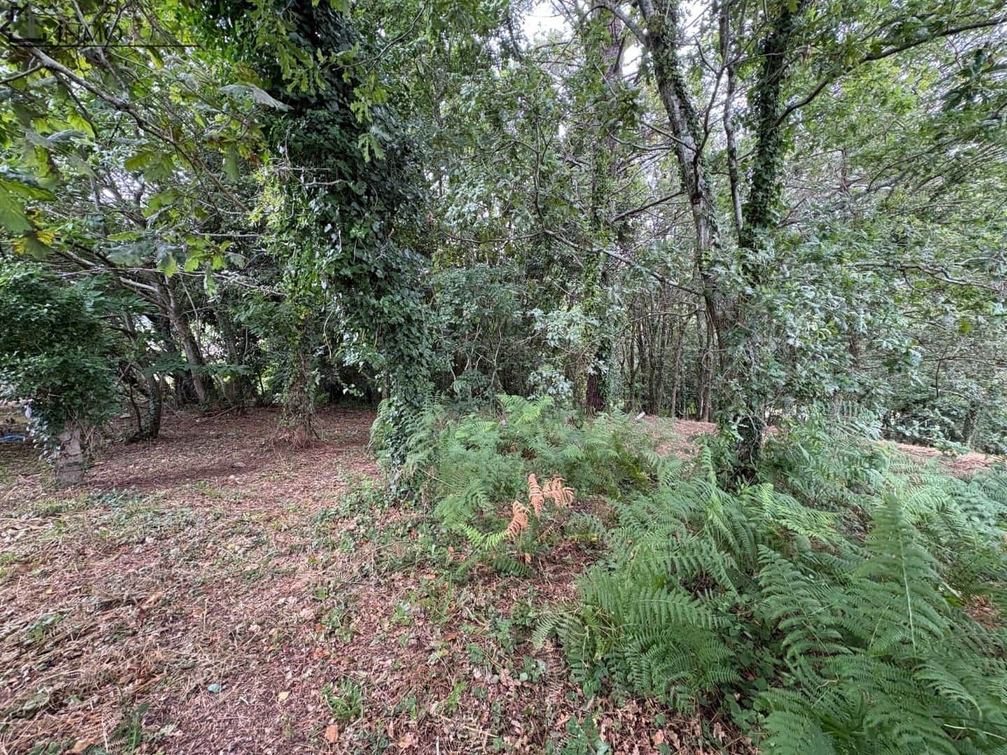 Tontti myytävänä paikassa Poio - 190 000 € (Ref: 9069180)