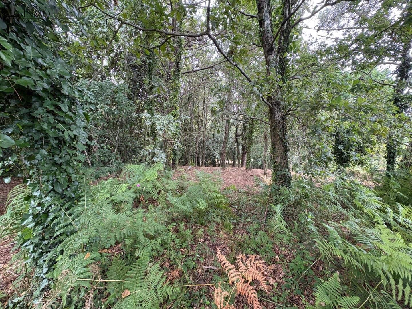 Tontti myytävänä paikassa Poio - 190 000 € (Ref: 9069180)