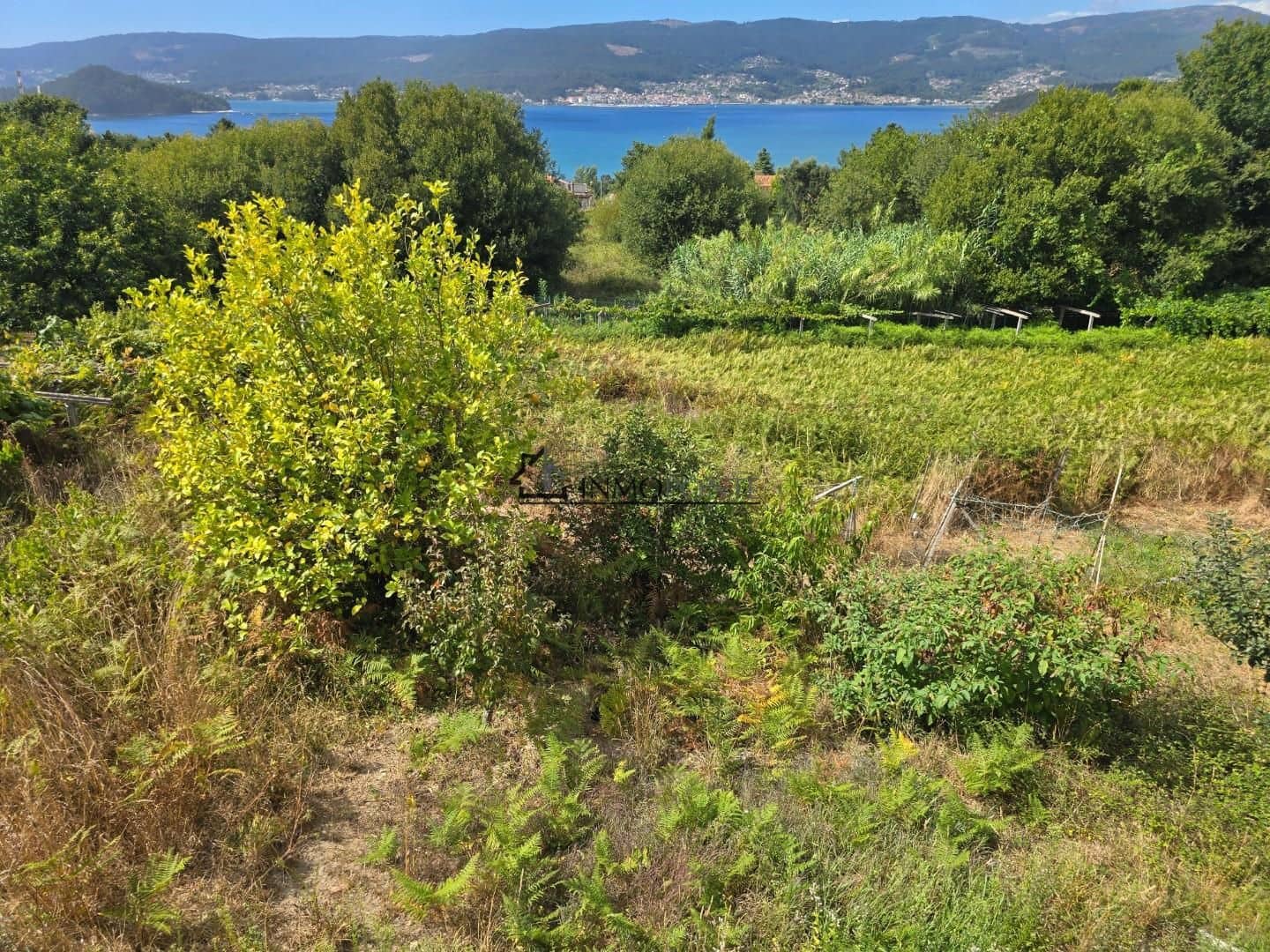 4 Zimmer Finca/Landgut zu verkaufen in Pontevedra Stadt - 600.000 € (Ref: 9191928)