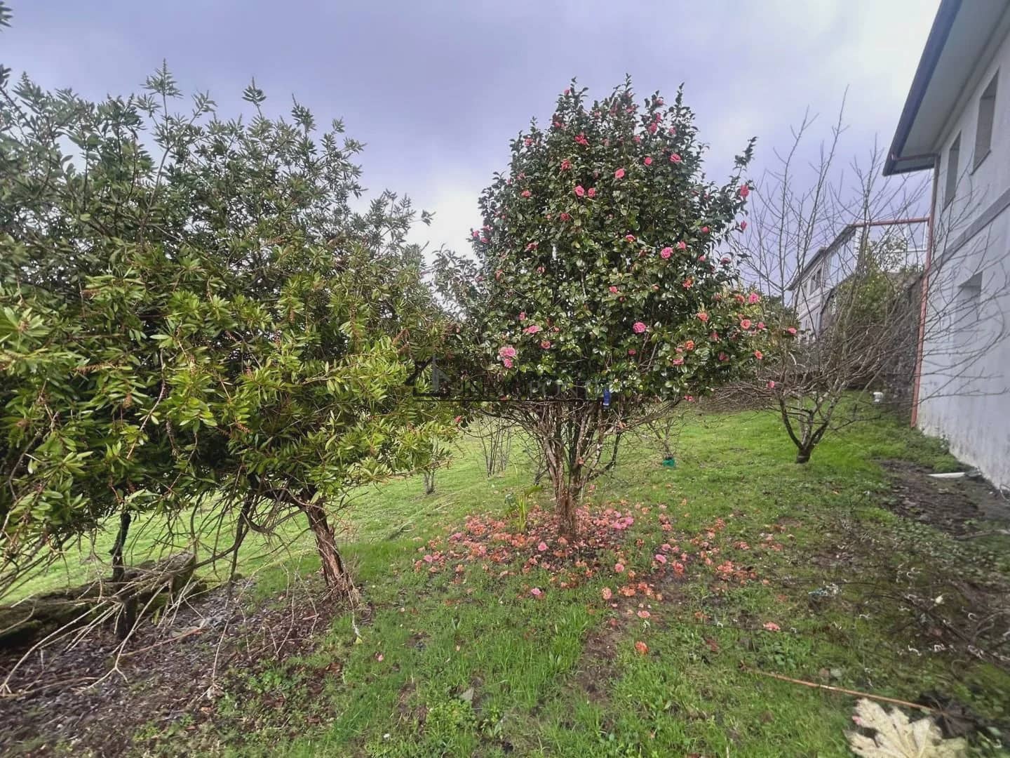 3 sypialnia Finka/Dom wiejski na sprzedaż w Campo Lameiro - 185 000 € (Ref: 9720523)